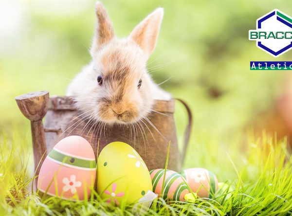 Domenica 21 Aprile Offerte Pasqua 2019 br Camping nel Chianti Toscana 600x444 - BUONA PASQUA!