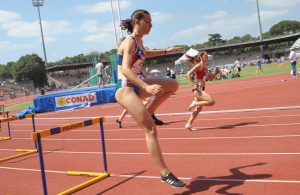 FRZ 3422 300x195 - FRZ_3422