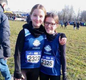 cabnegrate3 2 300x281 - cabnegrate3 2