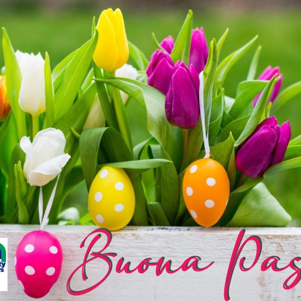13 fiori di pasqua copy 600x600 - AUGURI!