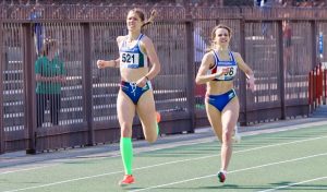 temporin e Canazza3 300x176 - temporin e Canazza3