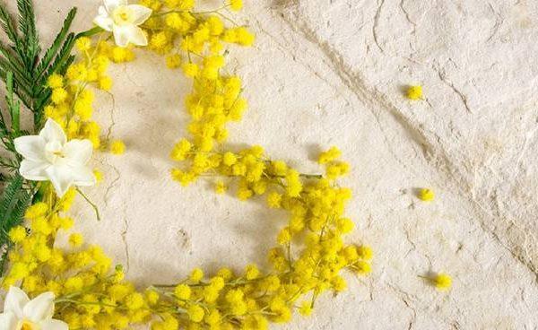 mimose festa della donna 92456.660x368 600x368 - AUGURI !