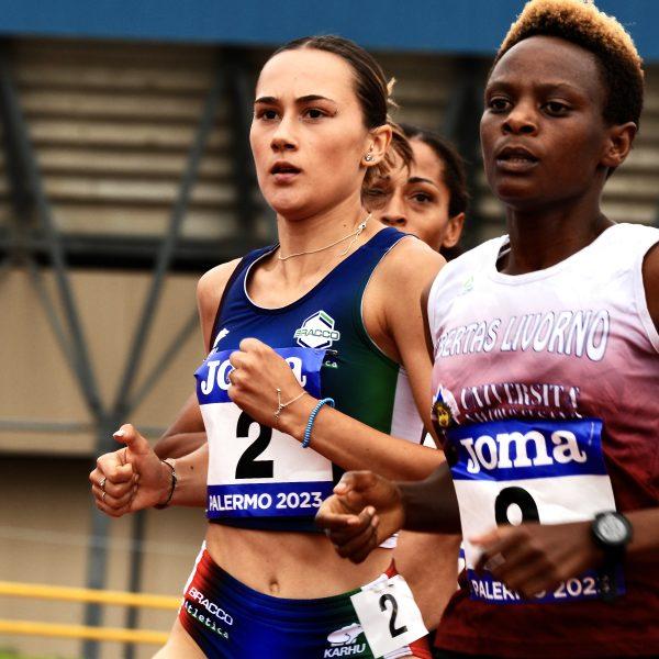 PAL 0469 600x600 - FORZA LUDOVICA!