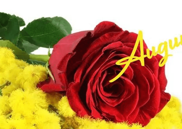 image 600x426 - VIVA LE DONNE