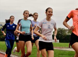 IMG 3371 300x218 - IMG_3371